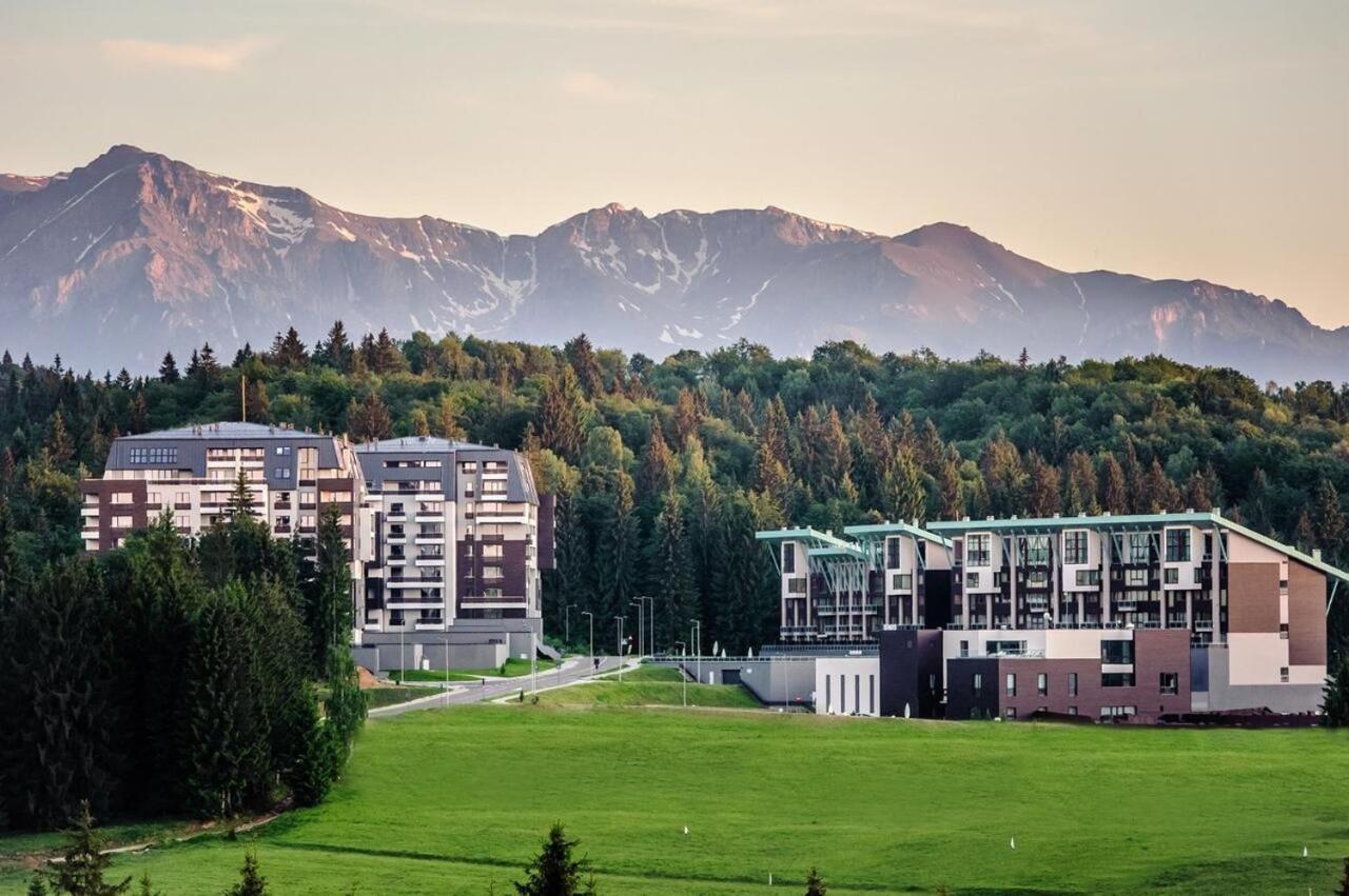 Forest Corner In Silver Mountain Of Poiana Brasov Exterior foto