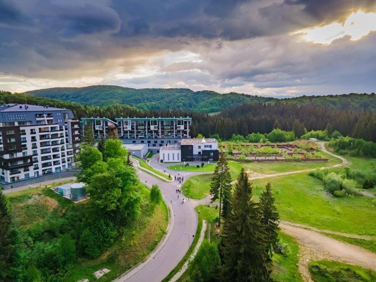 Forest Corner In Silver Mountain Of Poiana Brasov Exterior foto